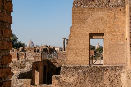 Guided Tour of Roman Forum, Palatine Hill and Circus Maximus