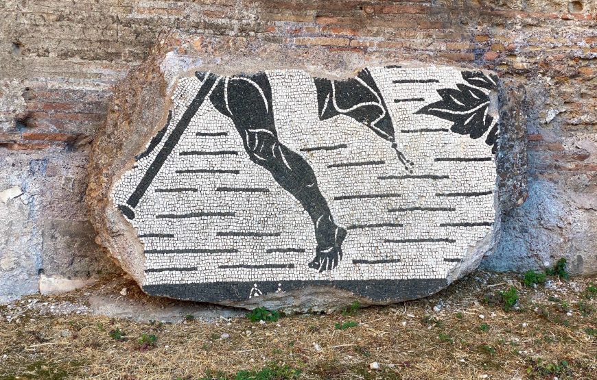 Small-Group Tour of Caracalla Baths & Circus Maximus