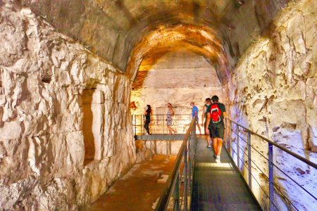 Tour of Colosseum Underground, Arena, Roman Forum & Palatine Hill
