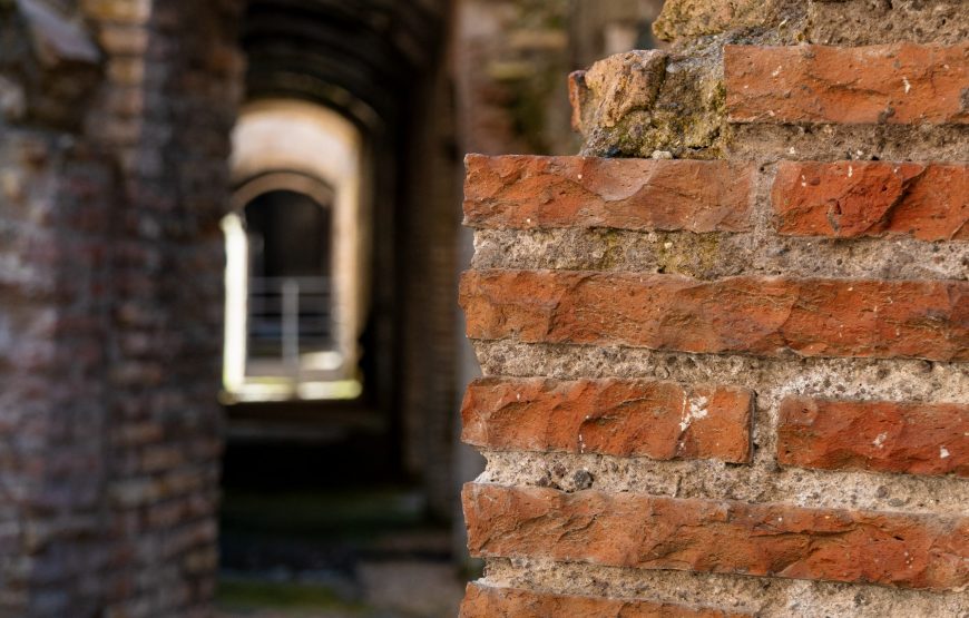 Colosseum Underground & Arena Express Guided Tour